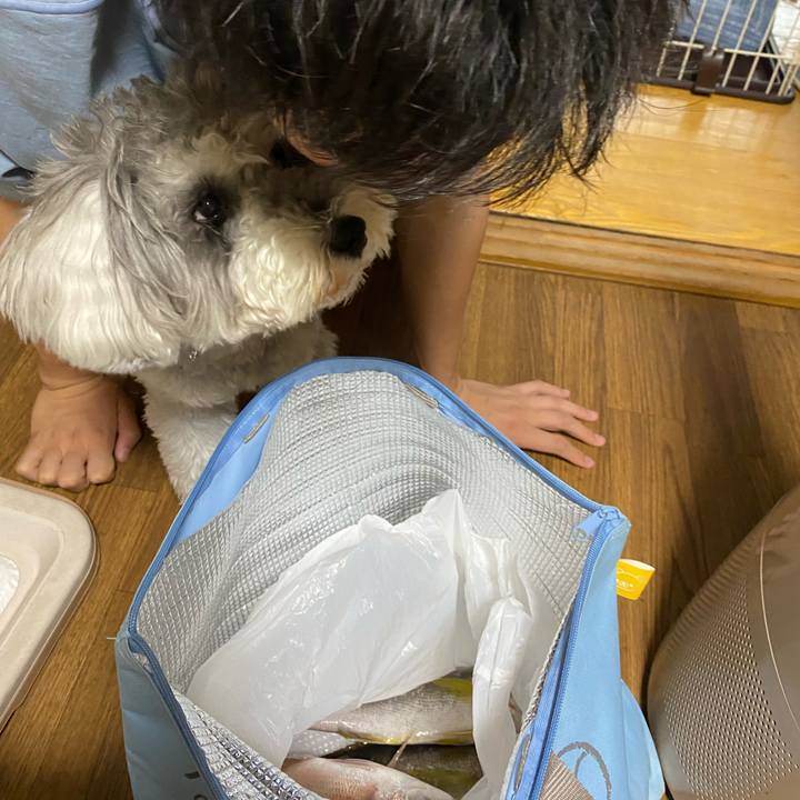 Fa6b9e4b 375c 4621 bfed 963be469ea3f 1627236270718