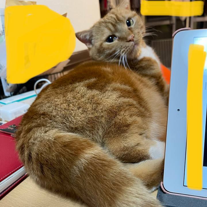 Fa6bb91c aaf7 477e 9460 4c558a200e21 1668260138714