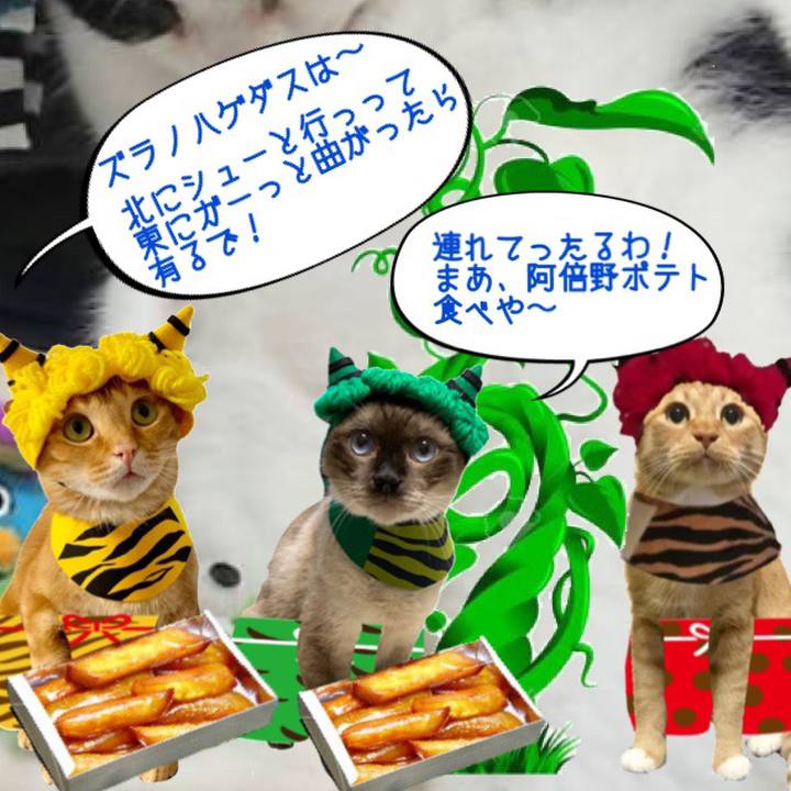 Fa6c1100 1e1d 426f 84e5 8a837effd556 1568800082247