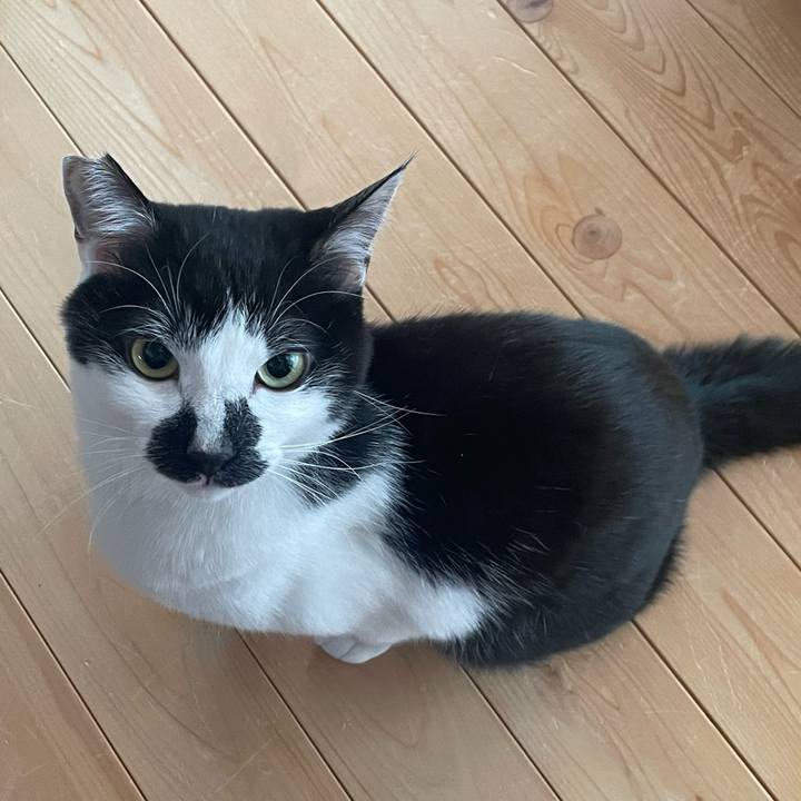 Fa6c592b 0011 409b 9b6d 73a3194002be 1769504917091