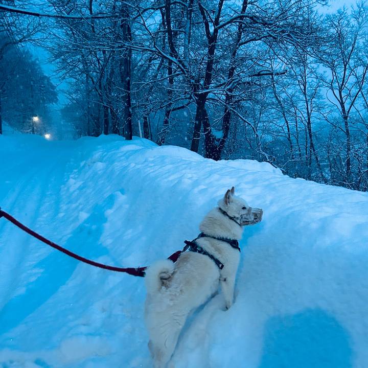 Fa6ca814 0734 44e8 ad88 4f1337a3fc60 1735597617172