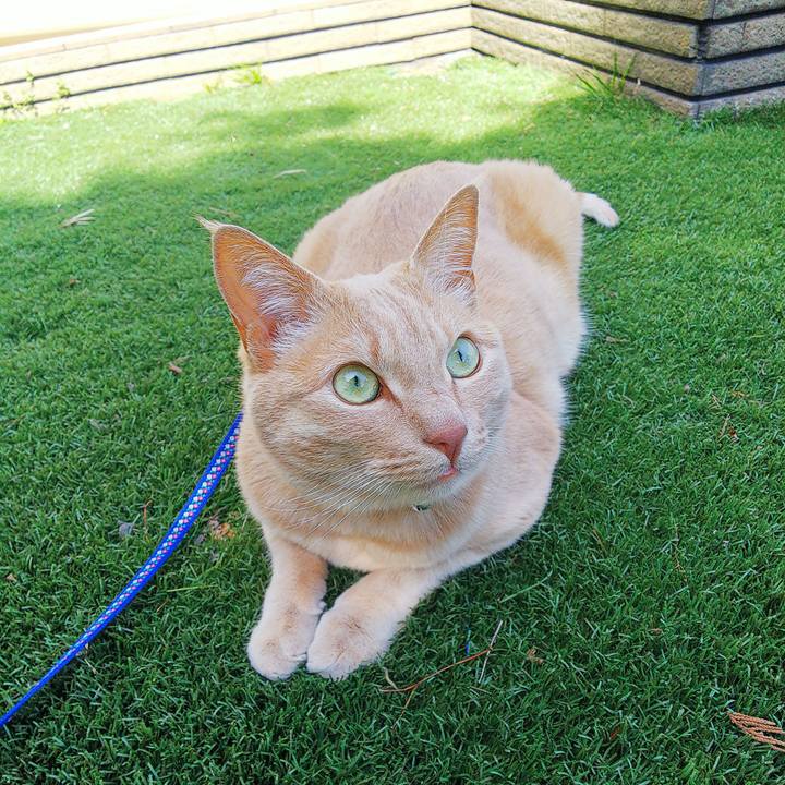 Fa6cabe5 0950 484a b412 d4dfe863bfd1 1621312845965