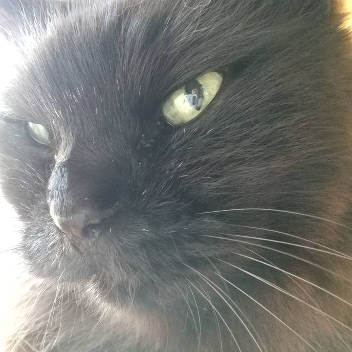 Fa6cc42a 2908 4ab3 ab97 382b5b5b7072 1680216945116