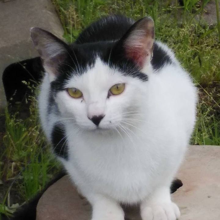 Fa6cddfa e691 44fb aae7 5086d0e7f90b 1590106597204