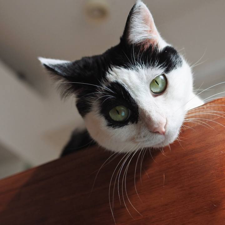 Fa6cece4 f5e3 4d11 9a83 0eb999c0419b 1523255874644