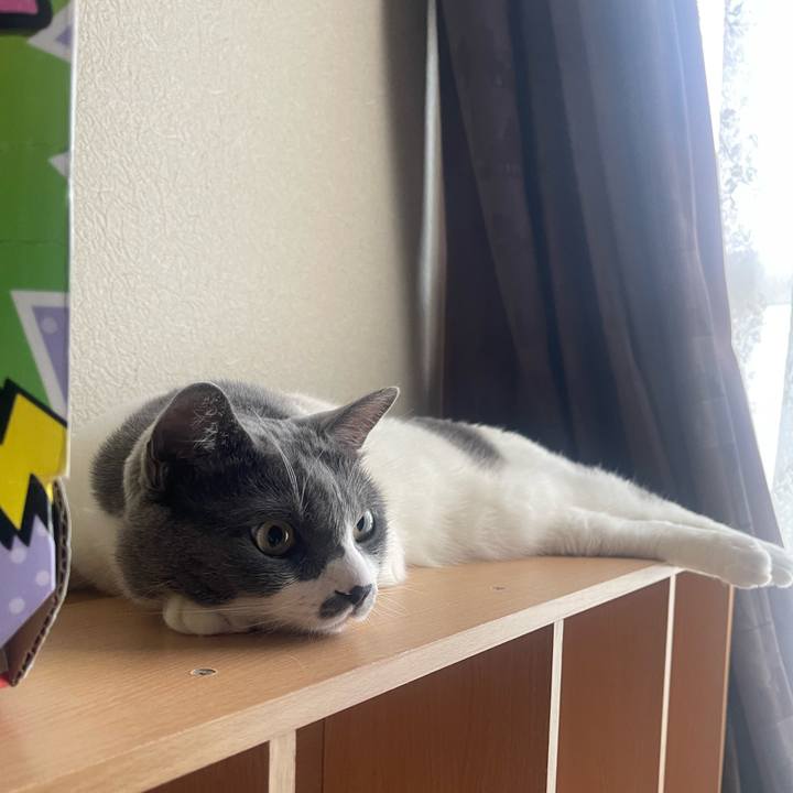 Fa6cef3b b3b9 43c1 bf3a e19738538dc5 1720302005397