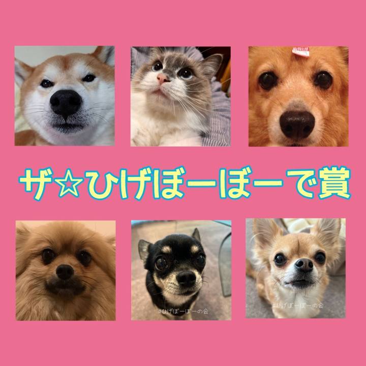 Fa6d0bd1 3156 4e47 8cd1 8f651d966bfb 1676770565750