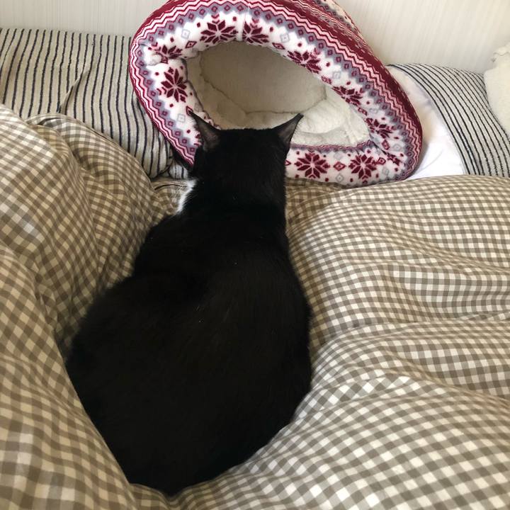 Fa6d2dd5 ac57 4735 9089 bcd0f6104057 1554900134550