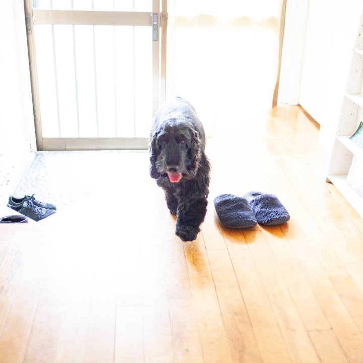 Fa6d5dc6 4975 4569 a659 e2f305334f42 1551239591725