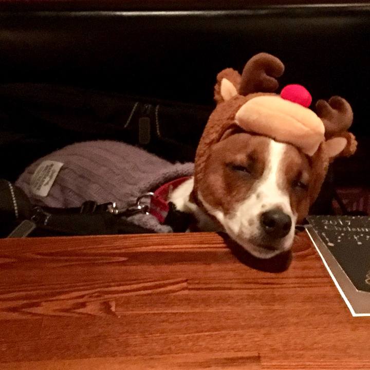 Fa6d665a 284a 4d68 bf97 3605d009498c 1526385240600