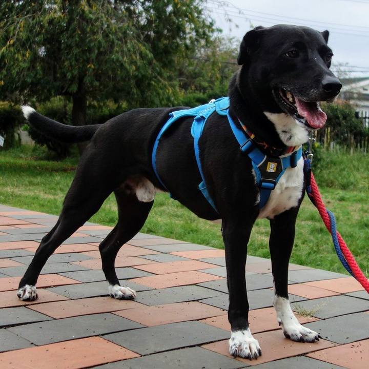 Fa6d78ce a154 4439 a2fd e187728344e3 1632613831684