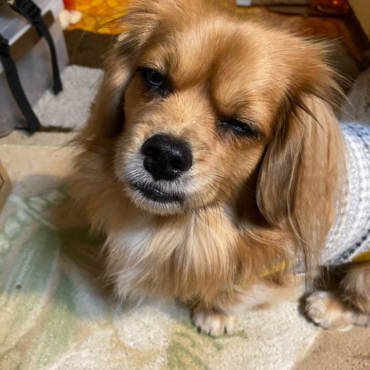 Fa6d7aeb 4f86 43eb 896b 26bbf46a0644 1577225133480