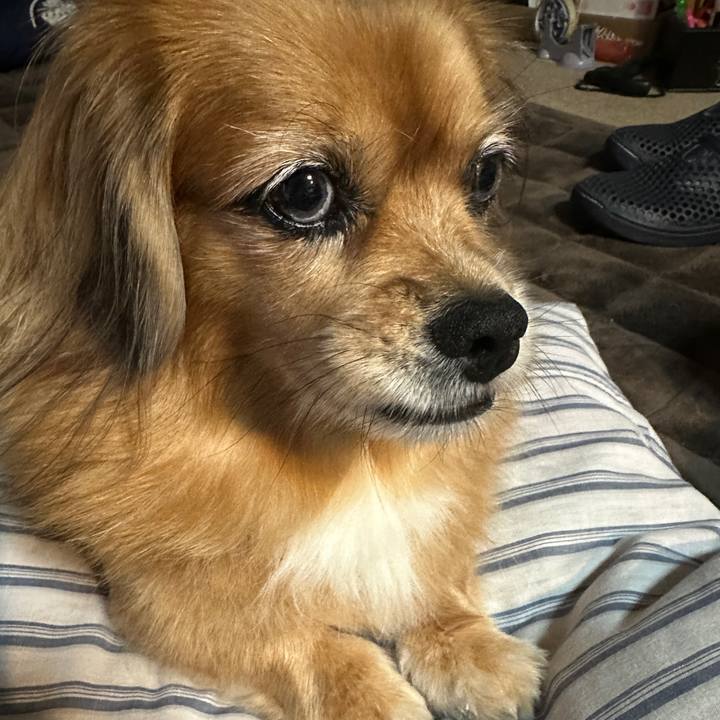 Fa6d7d11 21b9 4d2e bf62 e16f7deea721 1730841281915