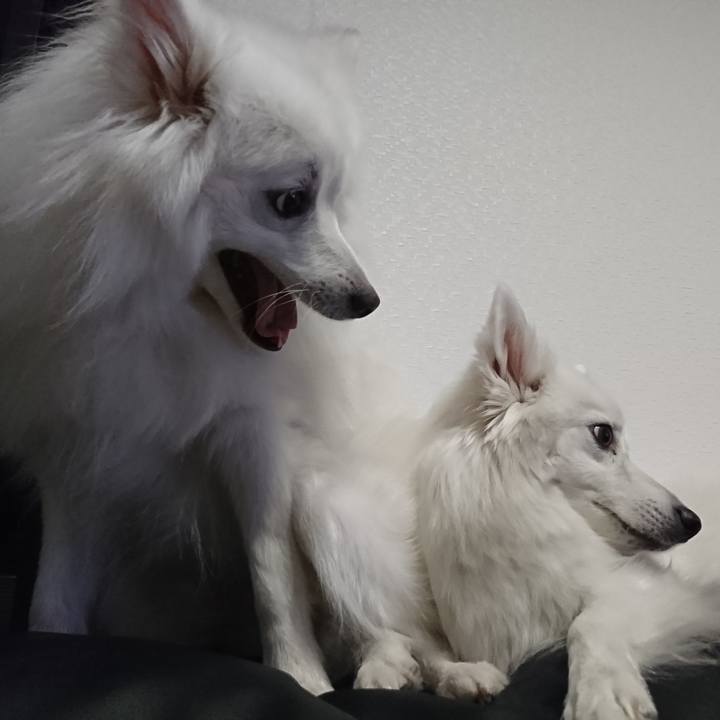 Fa6d7fc4 6614 4bd2 a587 0ea53edf95c9 1580136043331