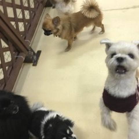 Fa6d9f3f b5bd 4b15 815d 036ab01fc43c 1513076210918