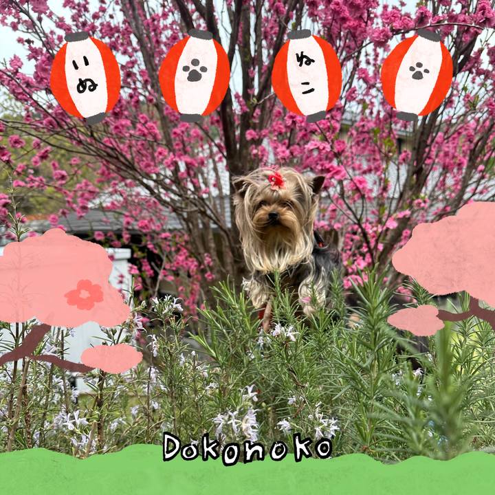 Fa6db04f 35ed 41aa a99c 36204c610f30 1712384061719