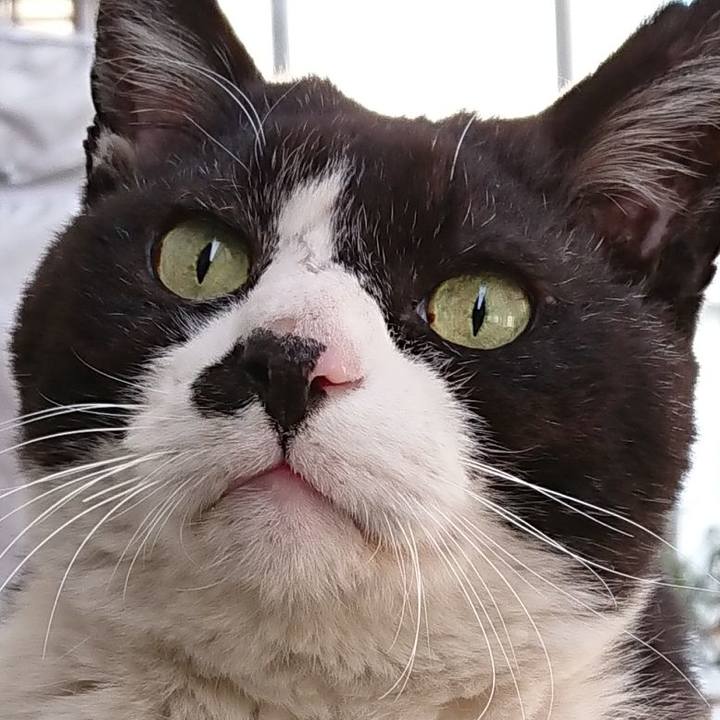 Fa6df260 a64c 4b69 bbe2 e06ea6d44fad 1614389437301