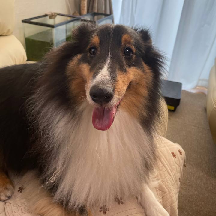 Fa6dff10 177a 4e02 baf3 9920814a95c6 1635976654428