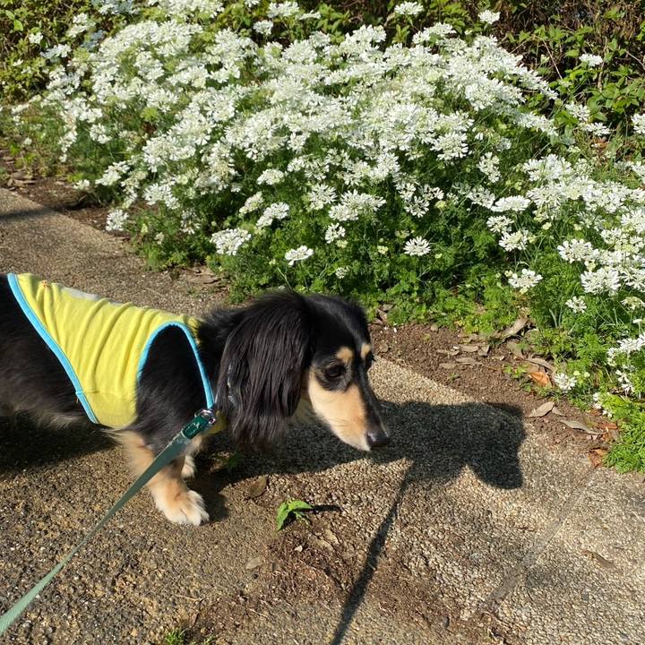 Fa6e004a d379 4454 9ef9 c62fc4b0048d 1749088381654