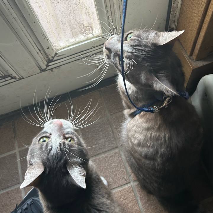 Fa6e1d54 818a 48ae a5cc b06546b52bea 1766385569394