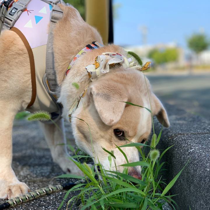 Fa6e2c01 7fd7 47e1 8226 2fae67c20566 1566776013696