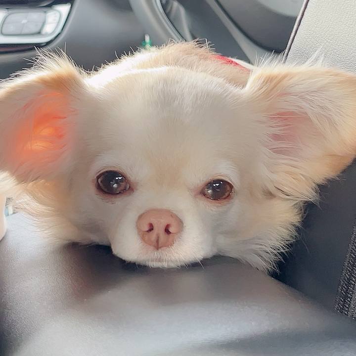 Fa6e58e5 5681 40e5 9acb 42283cf00b39 1729296201732