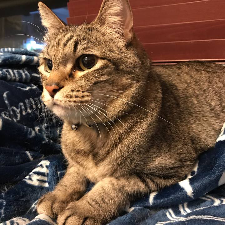 Fa6e75c0 b205 459f 962c 49acecf3fe26 1558819943987