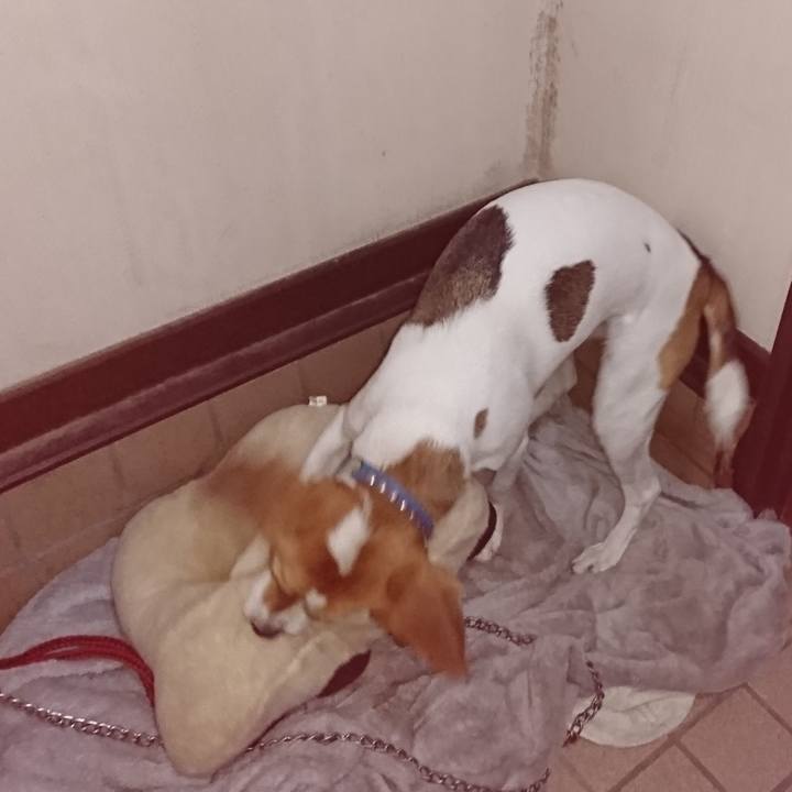 Fa6e7a42 aea5 49da 8be3 33b3bee15876 1572859125497