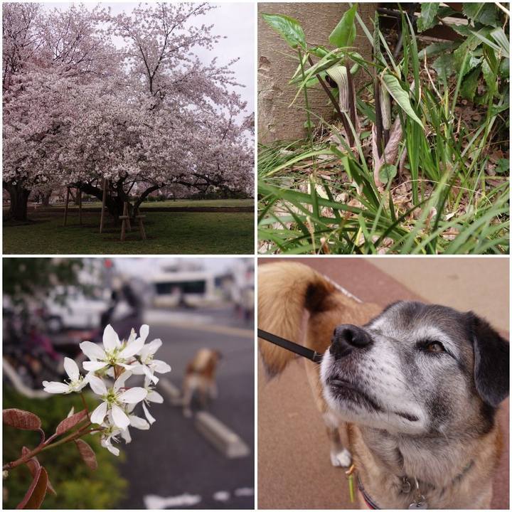 Fa6e7ff5 14aa 458a 9311 c9786c450918 1555032459768