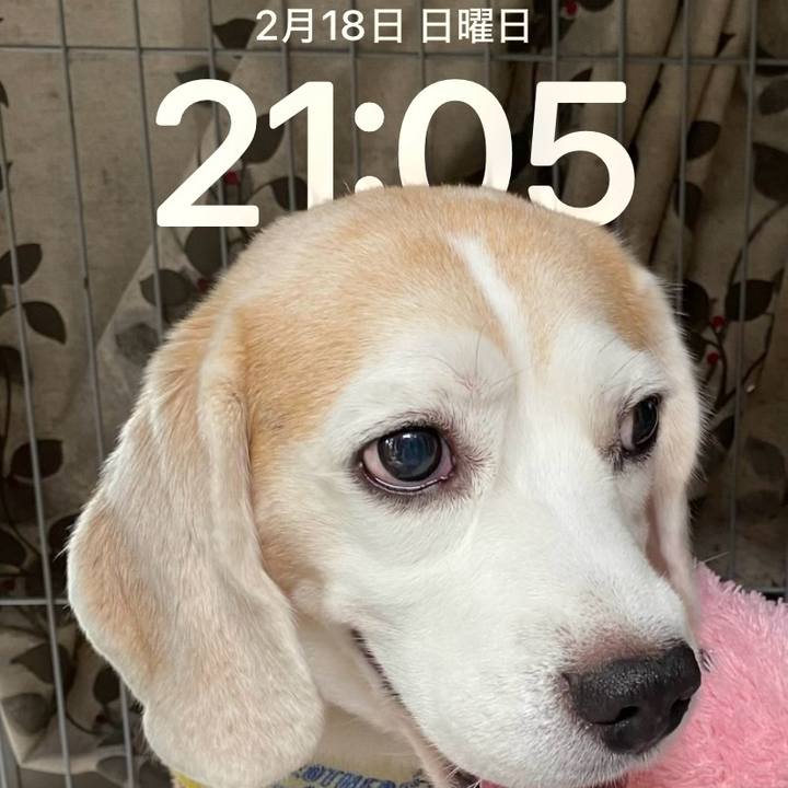 Fa6ea02a a5df 49b2 a1aa 868622ffdb41 1708257999103