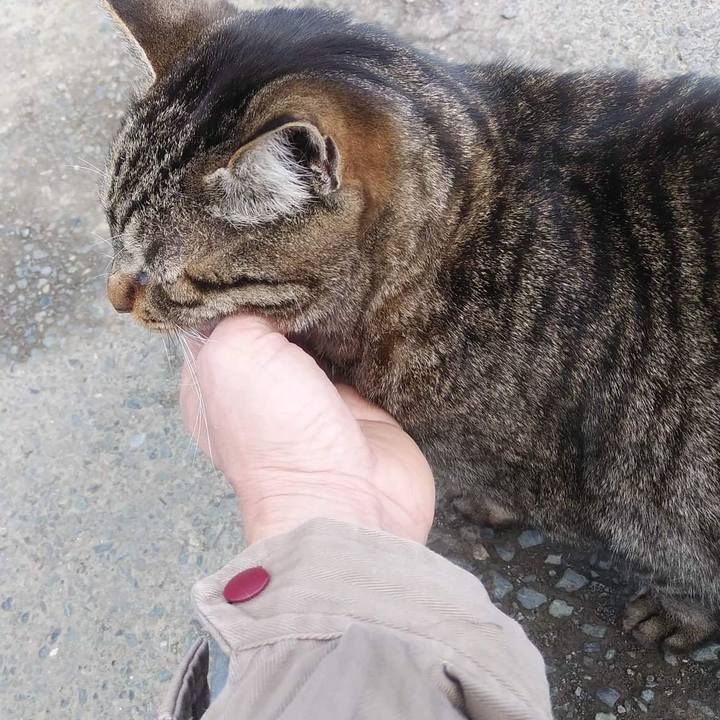 Fa6eb196 aa92 4f87 b77f 3c8e6b15e584 1647311402591