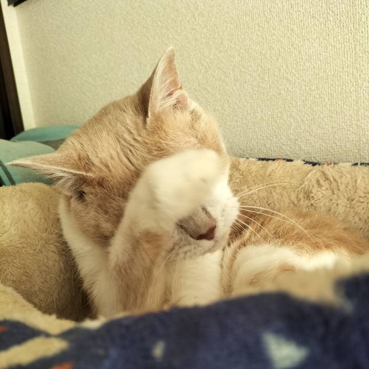 Fa6ed520 4edb 4627 989d aec126d014c5 1645228890762