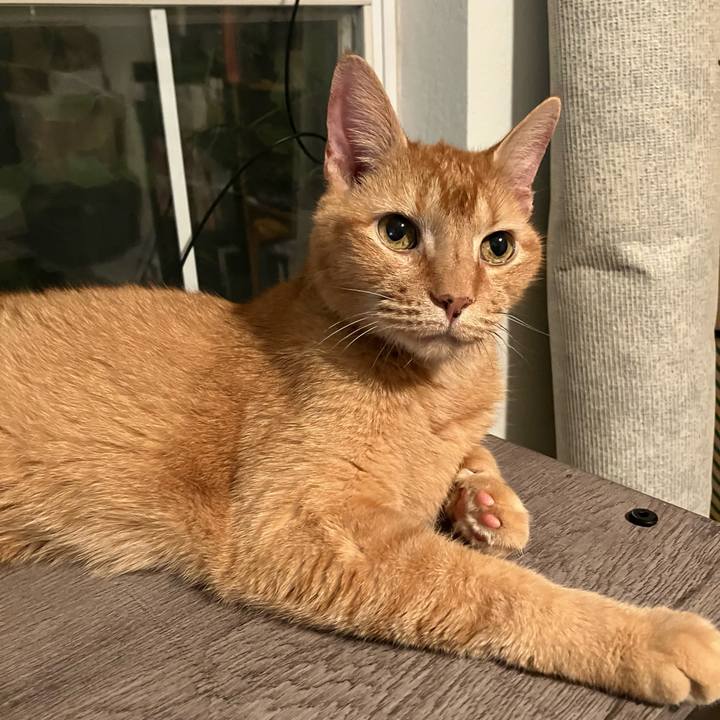 Fa6ef936 91d2 4650 888f 328ebc0a9e8b 1696287299088