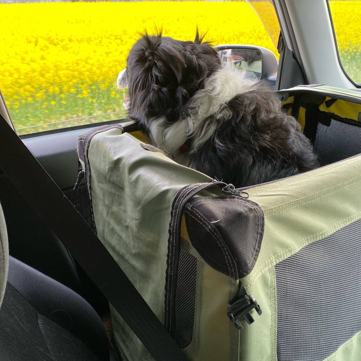 Fa6efabc 3a35 4c8a 8247 02c4e0c94f66 1648455219277