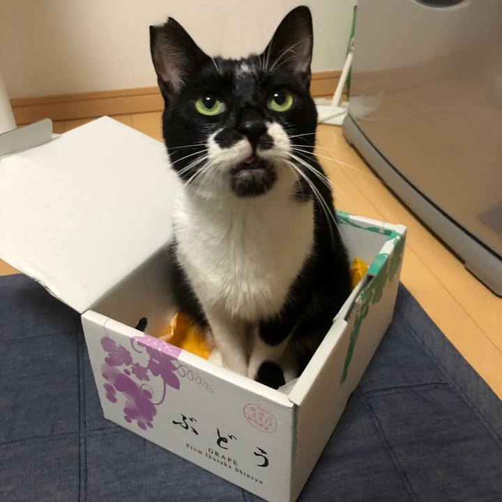 Fa6f4536 b413 4dba b31f 7dbeb9974060 1600093224911