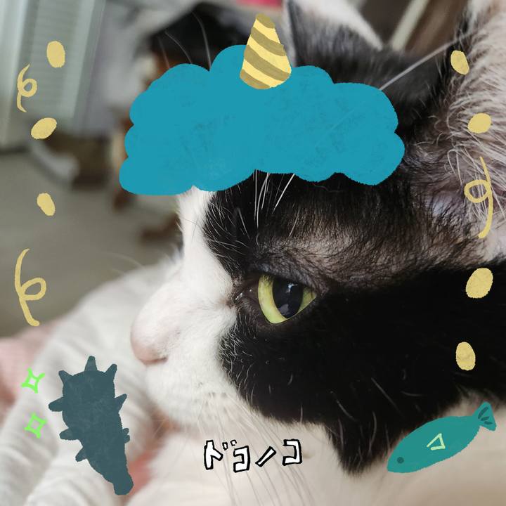 Fa6f5872 8975 48bf a65d aa68b51dee50 1706838397454