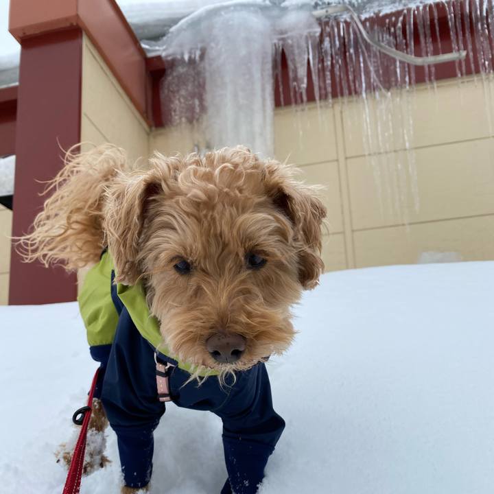 Fa6f799b 9656 41d3 ad6f 8bd5f268a0f7 1646441373714