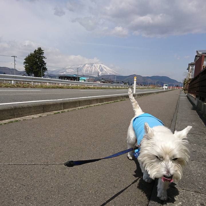 Fa6f8020 38f1 47c9 a7a6 1bd320257585 1522899400740