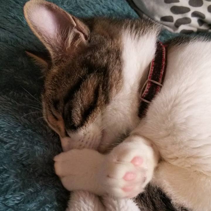 Fa6f8732 75e7 4d51 a8a3 1b51c24bd013 1617501430032