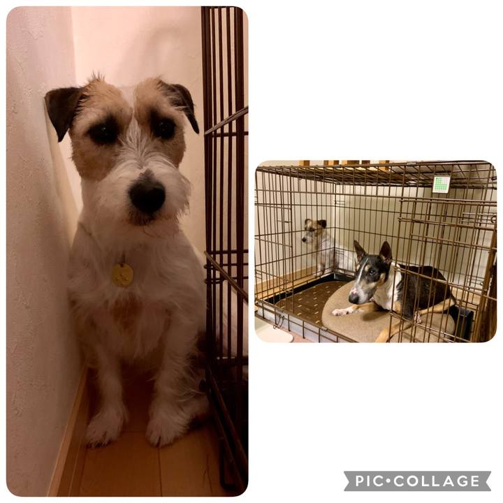 Fa6fbc37 b0b5 4351 85d2 425534b63e0c 1619870061545