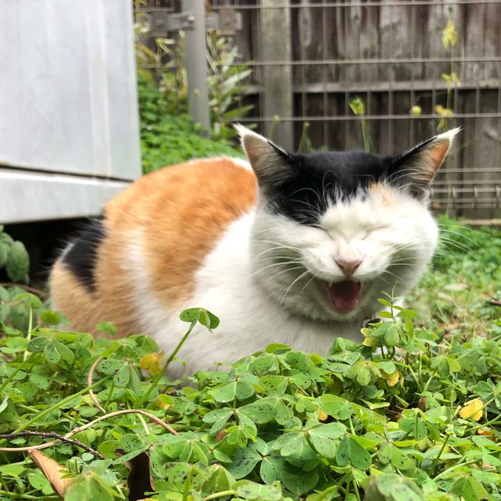 Fa700699 e29b 4a89 8943 95f5b27fe2b3 1608099953981