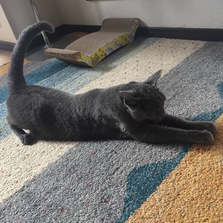 Fa7051fd 2ae4 40f9 a631 9f4926b15462 1539904151049