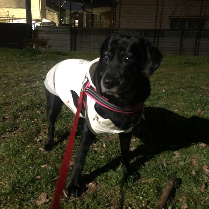 Fa7099d0 7ff7 45a3 969c 2d961f315e1e 1580384804146