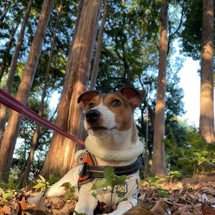 Fa70cc58 2c4f 4198 b50a 5b0b1d109522 1694475654461