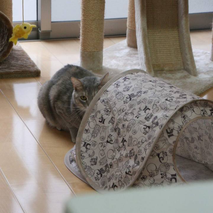 Fa70e989 0773 4709 9e7b 4c7f71cf88c0 1545104265864