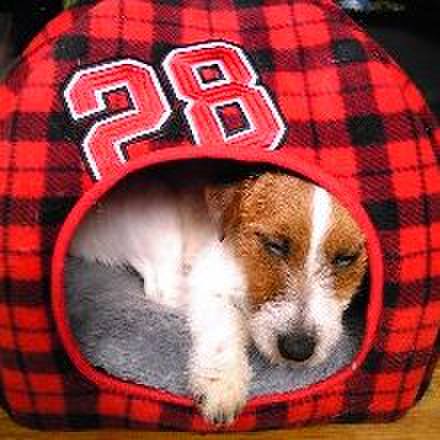 Fa714007 07cd 4800 9569 72bc81288e03 1524220174098