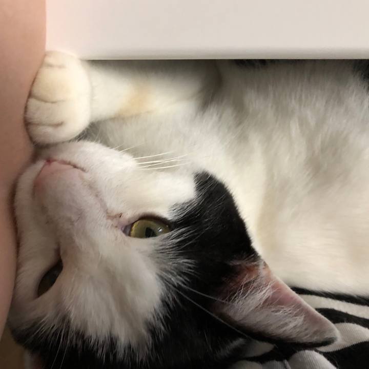 Fa7172cc 4e83 4c24 baa8 733fdaeca240 1561971230682