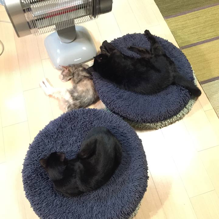 Fa718bd2 c64b 457d 959f 9a5c209bedc6 1512477155243