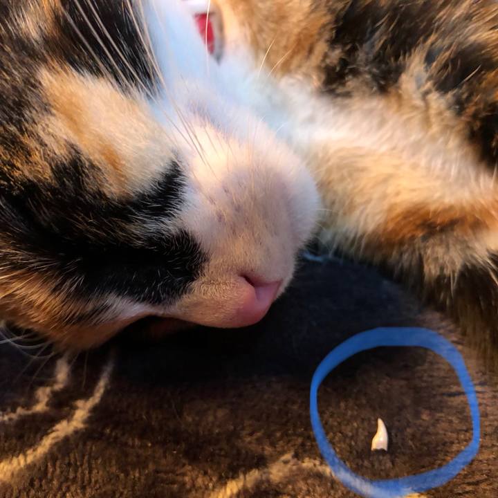 Fa71902a 0c34 49ca a421 bff52765b212 1547466987809