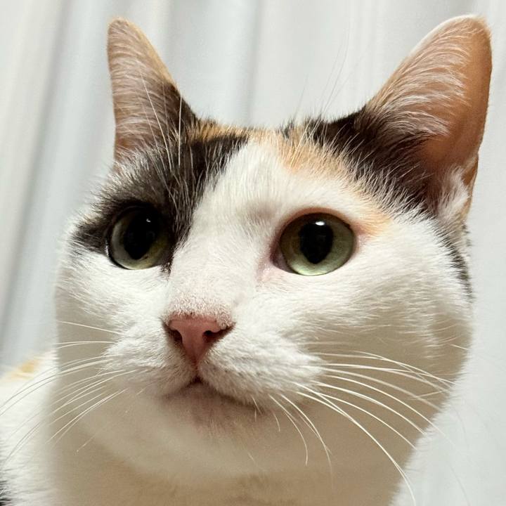 Fa719da7 b853 4cda 8654 9465c0dc7d2f 1764033665368